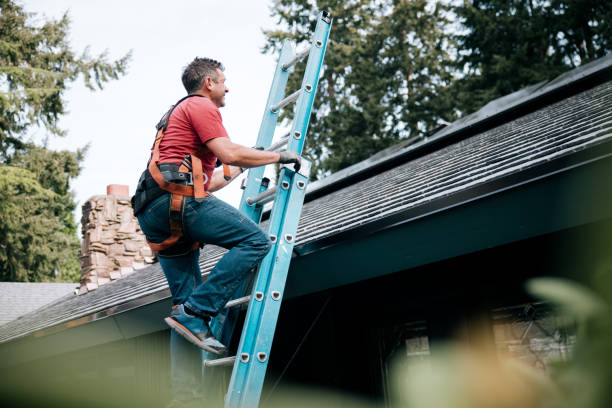 Best Asphalt Shingles Roofing  in Borrego Springs, CA